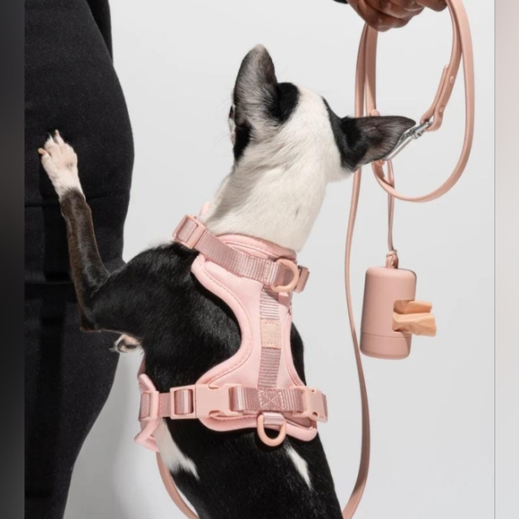 NWT Wild One 3pc Walking Dog harness kit